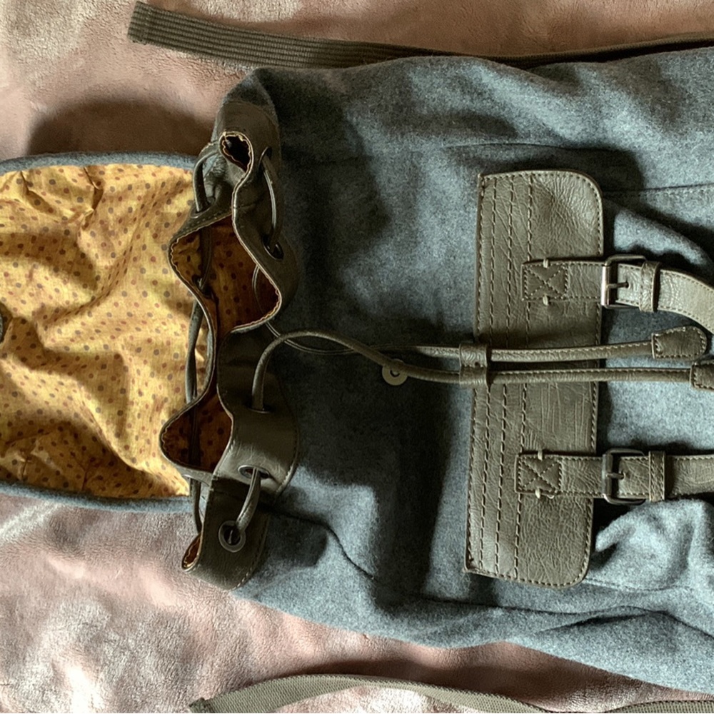 Sherpani Backpack